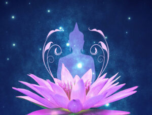 Yin Yoga e Anatomia 50 ore Teacher Training